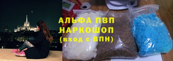 стаф Алексин