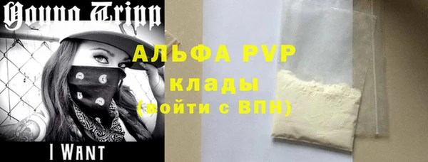 стаф Алексин