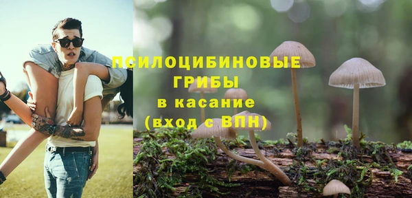 стаф Алексин