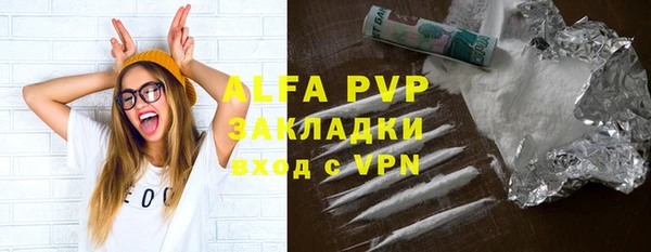 стаф Алексин