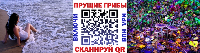 Галлюциногенные грибы Psilocybe  Клин 