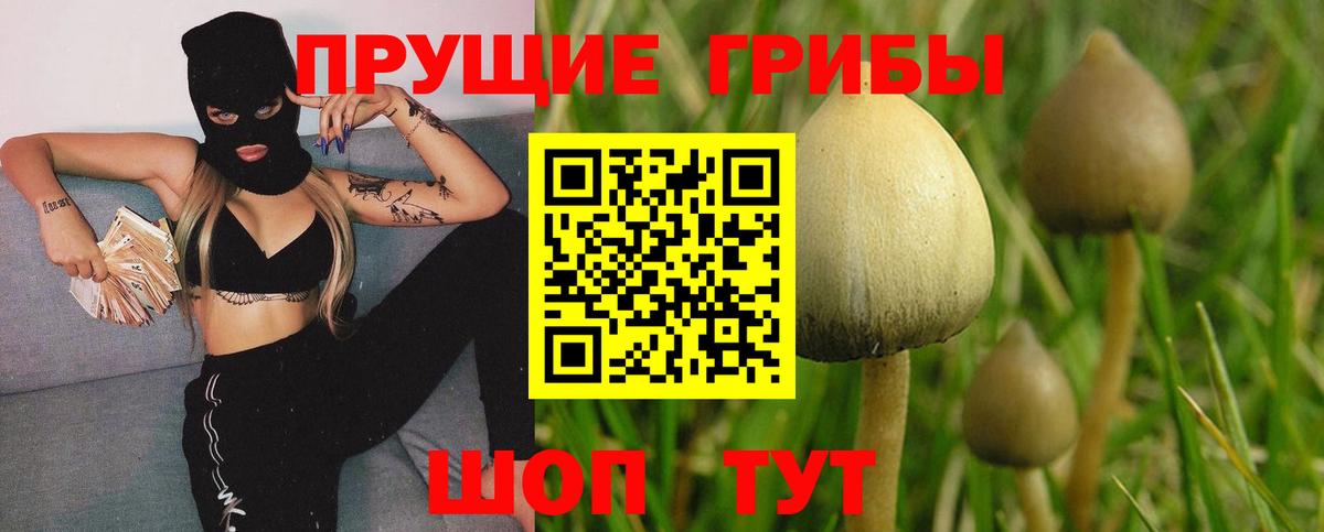 Клин  Галлюциногенные грибы мухоморы  Вход с VPN 